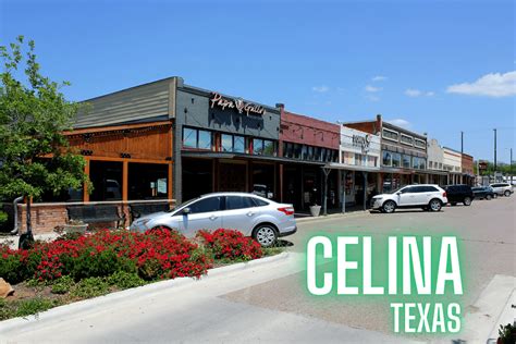 high quality turf celina tx